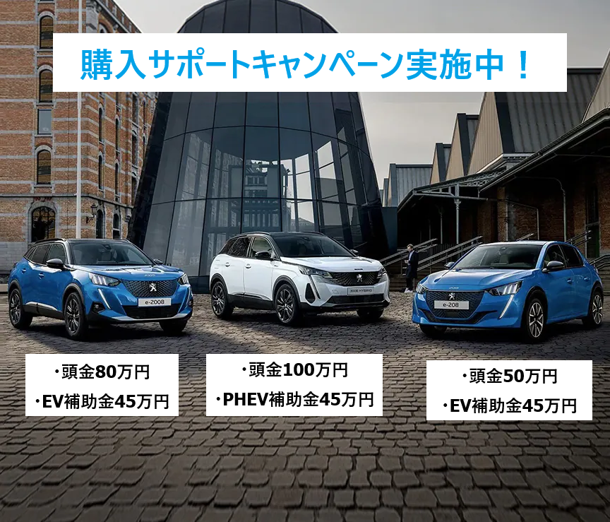 購入サポート実施中！