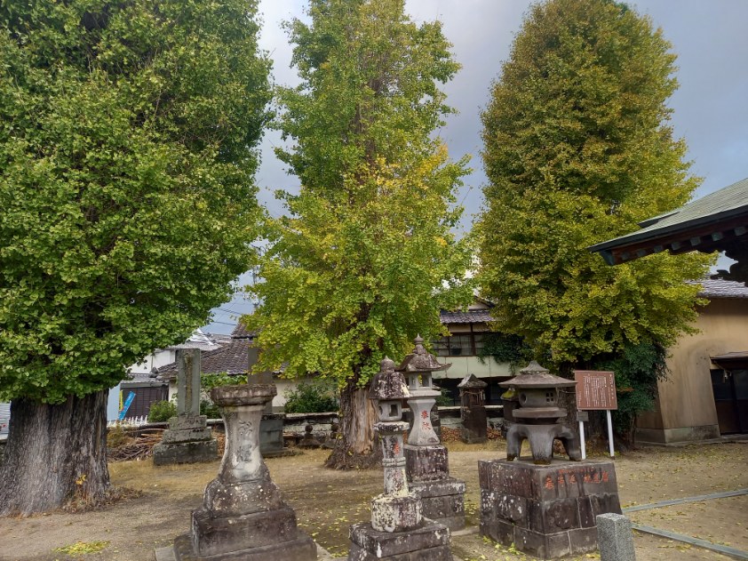皆さん知ってました？