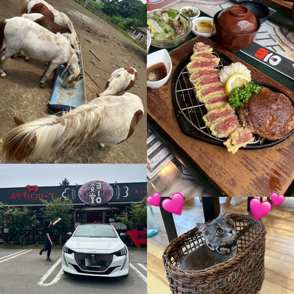 🚙アデル女子ＥＶ熊本旅🚙