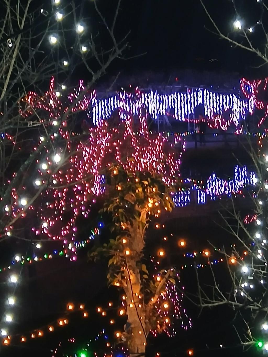 突然現れるイルミネーション