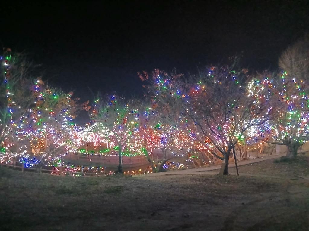 突然現れるイルミネーション