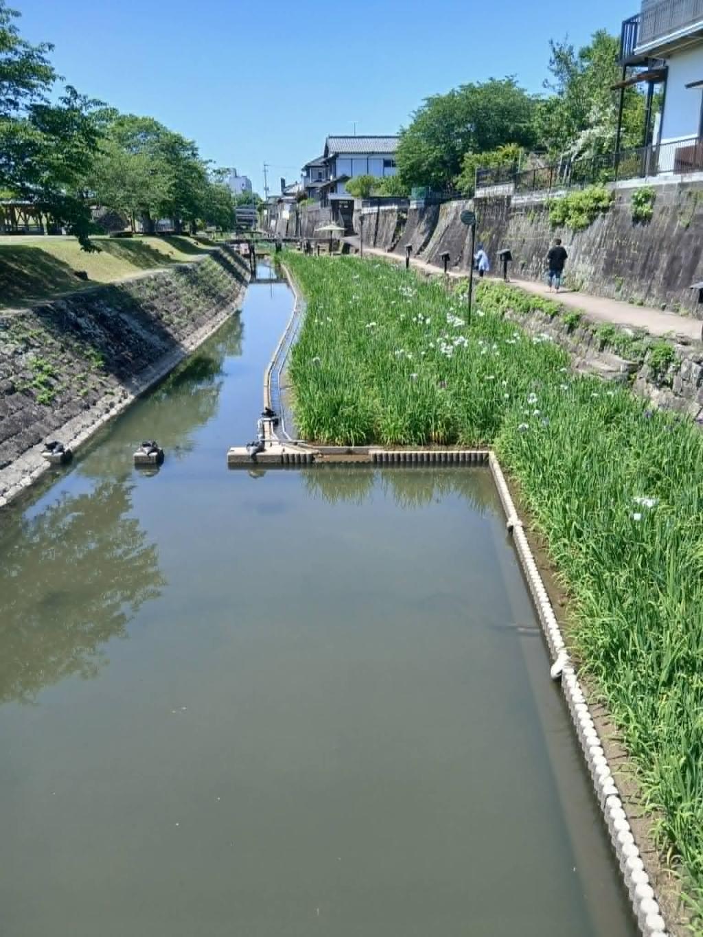 涼を先取り