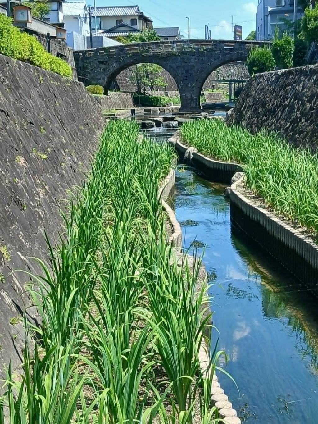 涼を先取り