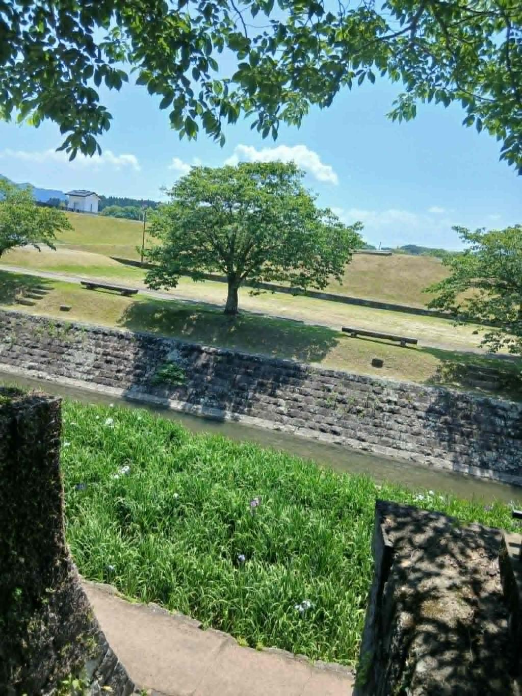 涼を先取り